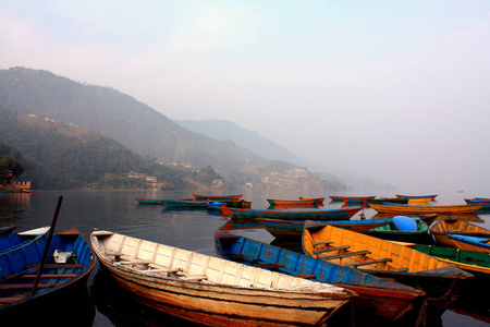 五颜六色的船象征着菲瓦湖岸的雾在早晨的波卡拉尼帕尔。