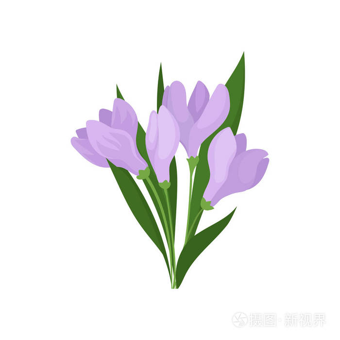 自然主题.平面矢量设计