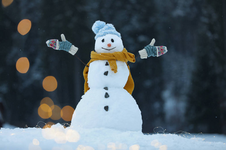 冬日户外带圣诞灯的可爱微笑雪人