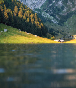 瑞士的风景。 山和湖。 水面上的反射。 夏天的自然景观。 瑞士形象