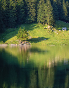 瑞士的风景。 森林和湖泊。 水面上的反射。 夏天的自然景观。 瑞士形象