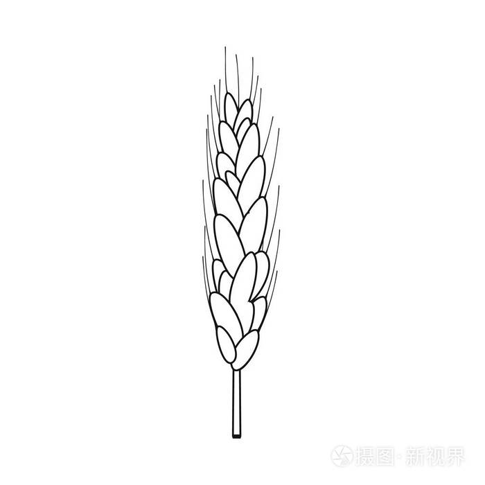 小麦和玉米标志的矢量说明.网络小麦和收获股票符号集