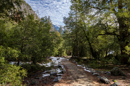 冬季美国加州约塞米蒂国家公园森林徒步旅行小径