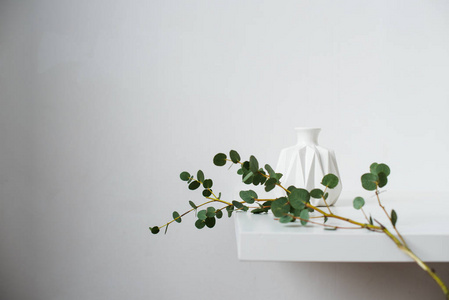 简约的静物, 绿色桉树枝和 emty 陶瓷花瓶在白色桌子上由白色墙壁