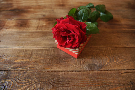 红色玫瑰和一个盒子的礼物在木制的乡村背景和复制空间的文本