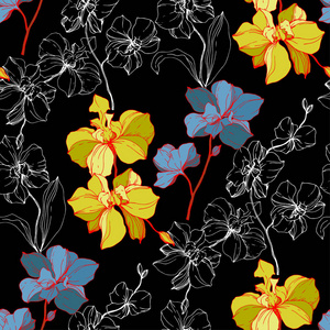 载体蓝色和黄色兰花分离在黑色。 无缝背景图案。 织物壁纸印花纹理。