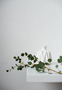 简约的静物, 绿色桉树枝和 emty 陶瓷花瓶在白色桌子上由白色墙壁