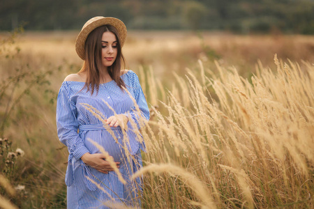 温柔的孕妇走在田野里。戴蓝色衣服的女士。放松时间。女人在等着孩子