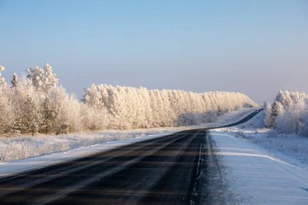 冬天的路。 黑色的公路穿过一片白雪覆盖的森林。 冬霜日
