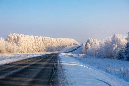 冬天的路。 黑色的公路穿过一片白雪覆盖的森林。 冬霜日