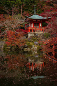 秋季在日本京都的大宫寺拍摄。