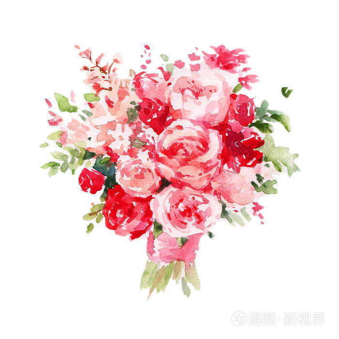 红色和粉红色玫瑰花束 白底水彩插图