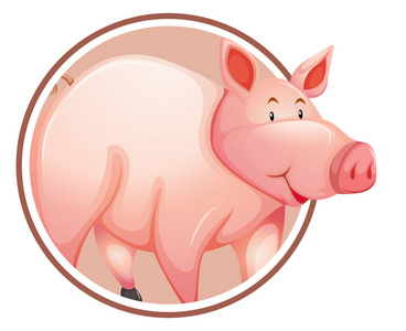 猪在圆圈横幅插图