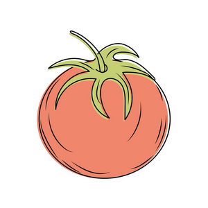 新鲜番茄天然蔬菜营养插图