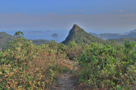 一个高垃圾高峰的景观