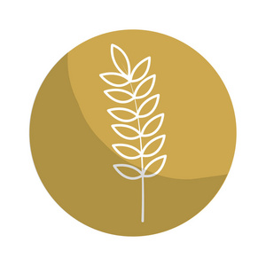 健康小麦器官植物坚果矢量插图