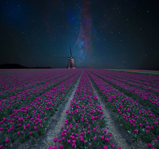 郁金香和风车的夜景。 有星星和鲜花的景观。 传统的荷兰观