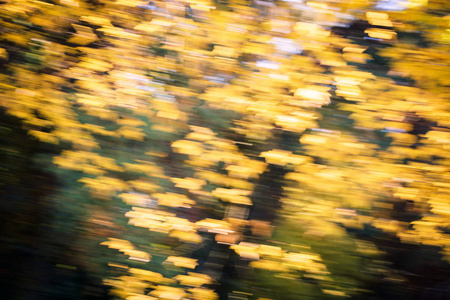 秋叶运动的抽象背景