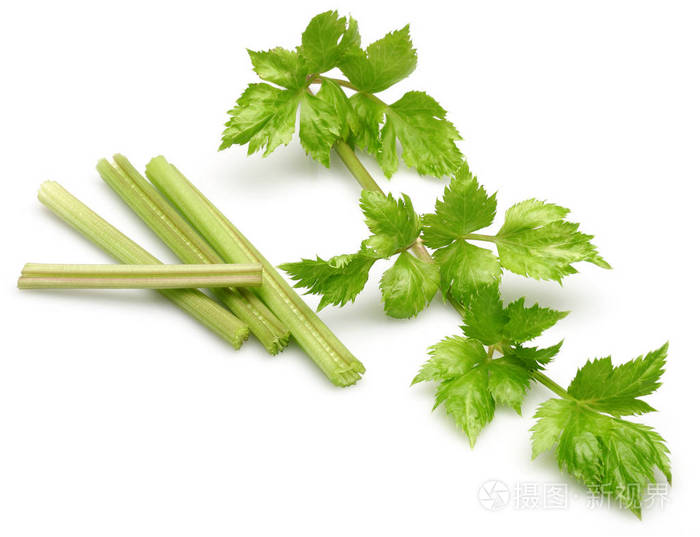 白色背景下分离的新鲜芹菜茎和叶子