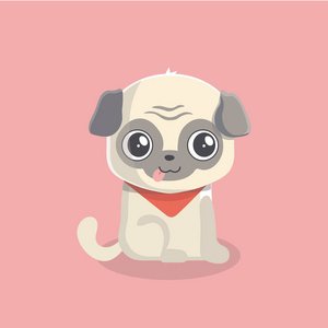 可爱的小狗pug在粉彩背景。