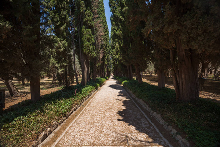 意大利罗马附近蒂沃利的别墅阿德里安娜的景色。 联合国教科文组织名单