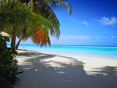 美丽的热带马尔代夫海滩和椰子棕榈树。 旅行背景。
