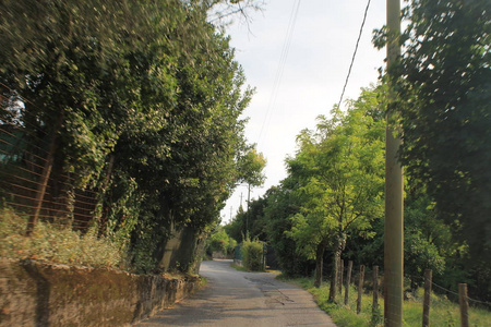 意大利北部乡村道路景观