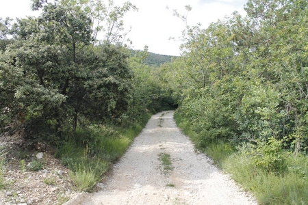 意大利北部乡村道路景观