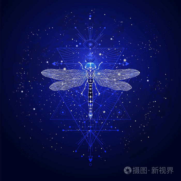 矢量插图与手绘蜻蜓和神圣的几何符号对抗星空 抽象的神秘符号.