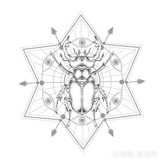 矢量插图与手绘鹿甲虫和神圣的几何符号在白色背景 抽象的神秘符号.
