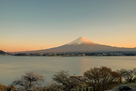 富士山，积雪覆盖，黄昏的天空和美丽的樱花或粉红色的樱花花树，在春天的季节，日本山明子湖。 地标和受欢迎的旅游景点