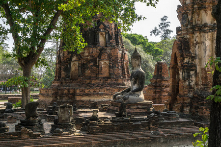 泰国大屿山的瓦德马哈特佛教雕像