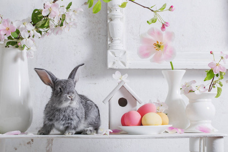 白色背景复活节彩蛋的兔子