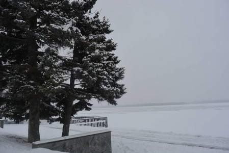 冬天美丽的长廊，有桦树和白雪。 德尼普罗市第聂伯河堤岸