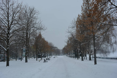 冬天美丽的长廊，有桦树和白雪。 德尼普罗市第聂伯河堤岸