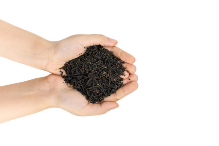 火草茶与百里香草在雌性手中近距离。 伟大的柳杉或玫瑰湾草药健康饮用红茶宏。