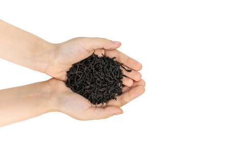 大红袍乌龙茶在女性手中紧闭孤立。 中国大红袍乌龙茶用作能量饮料和减肥。