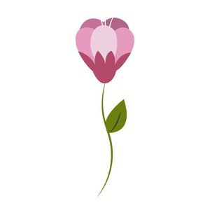 美丽玫瑰花瓣植物矢量插图设计