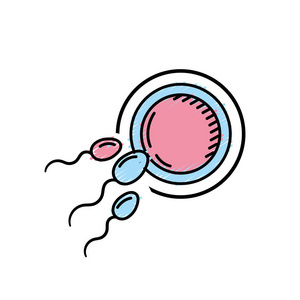 卵子和精子载体的生育繁殖图
