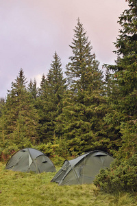 在矮林中的帐篷营地