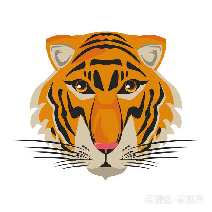 漂亮的虎头