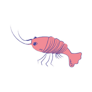 海鲜龙虾餐，天然成分矢量插图