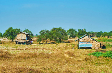 破旧的高跷小屋，由各种当地材料建造，干燥的尼帕叶，编织的竹帐和其他位于仰光郊区缅甸风景如画的农田。