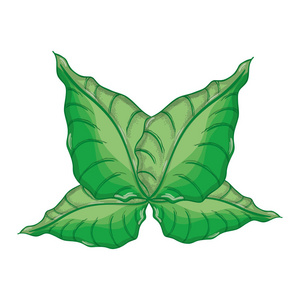绿色植物装饰植物矢量插图