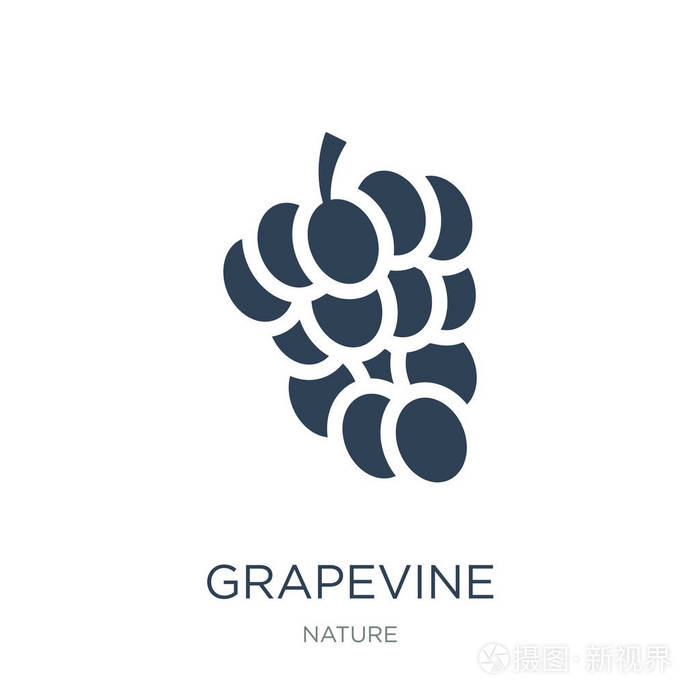 葡萄图标矢量白色背景葡萄时尚填充图标从自然收集