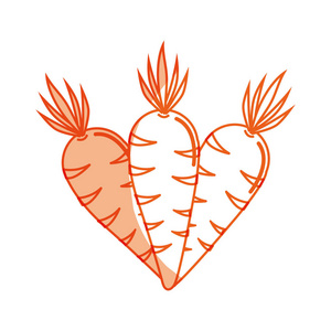 轮廓胡萝卜有机健康蔬菜插图图片