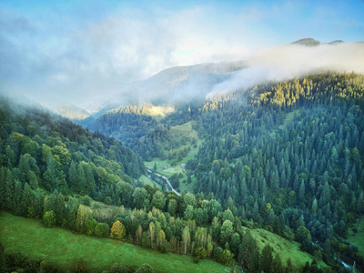 有森林的山。 喀尔巴阡山乌克兰欧洲