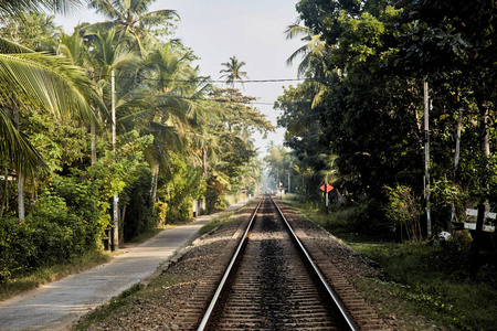 斯里兰卡热带地区的铁路延伸到远处
