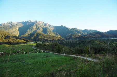 基纳巴鲁山附近的农业山谷图片