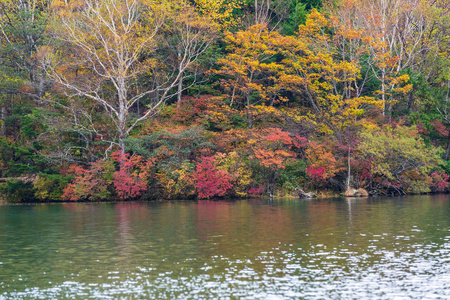 在日本木日经国家公园秋季观云子湖。